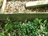 image of grave number 123592